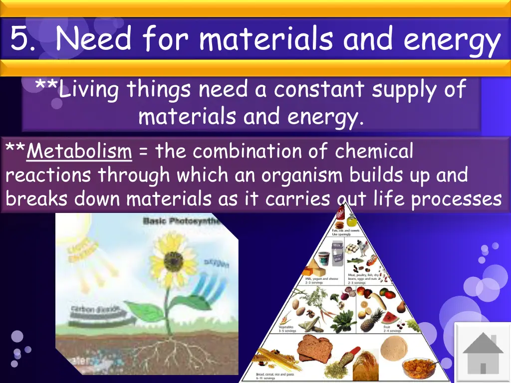 5 need for materials and energy