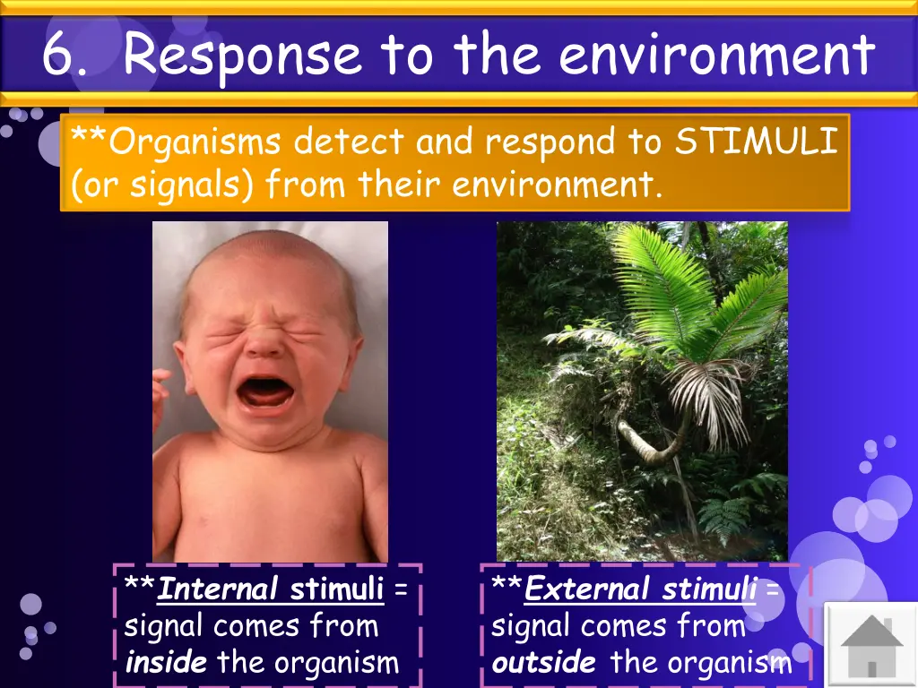 6 response to the environment