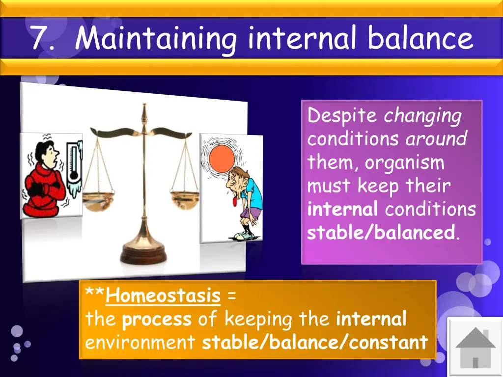 7 maintaining internal balance