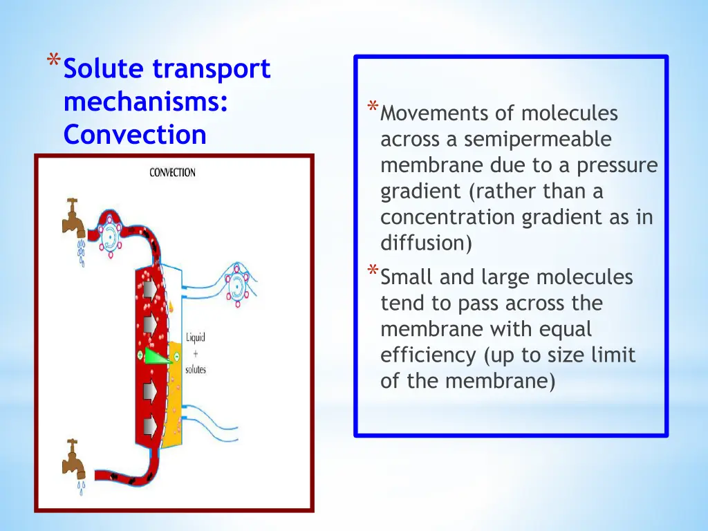 solute transport mechanisms convection