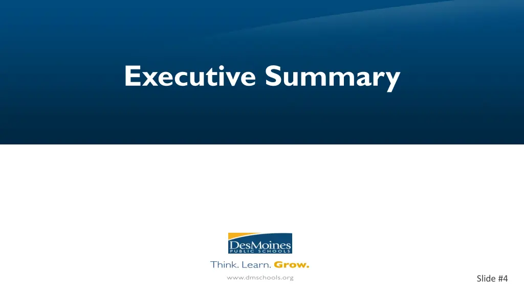 executive summary