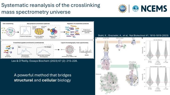 systematic reanalysis of the crosslinking mass