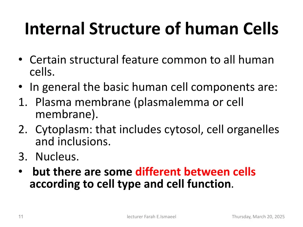 internal structure of human cells