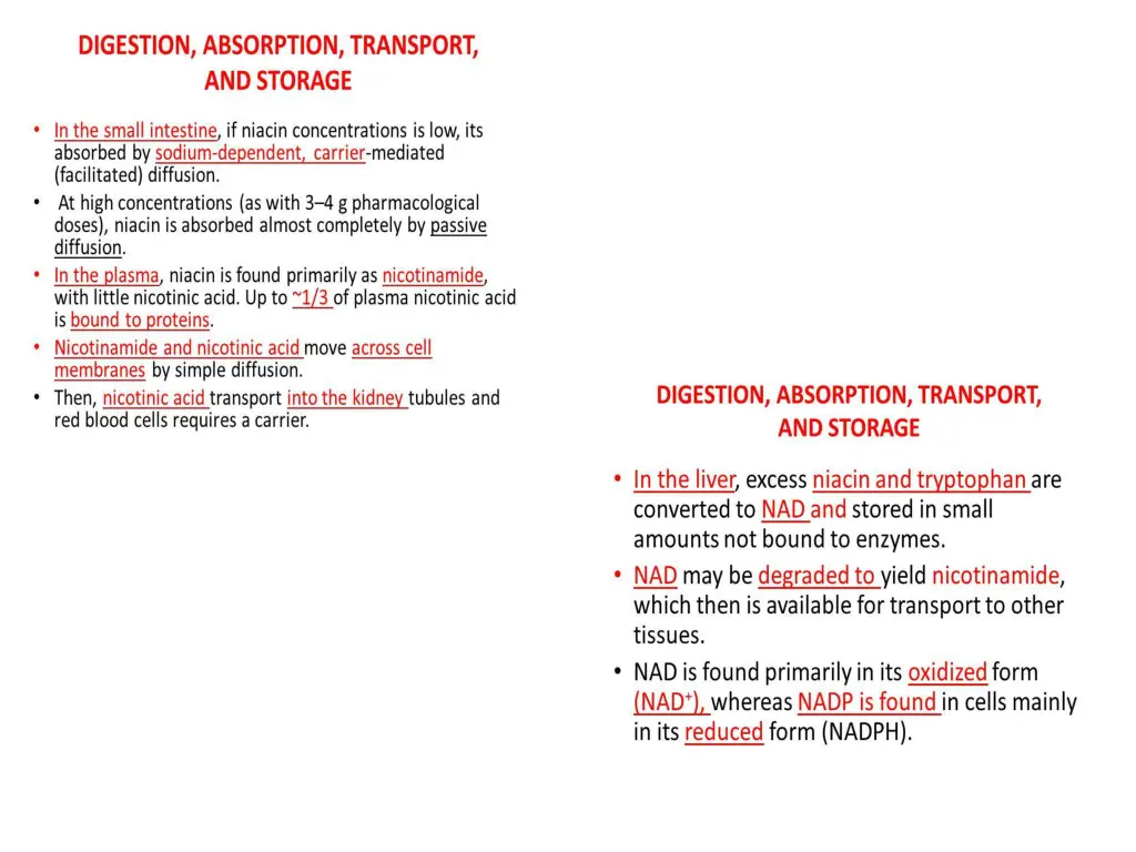 slide4