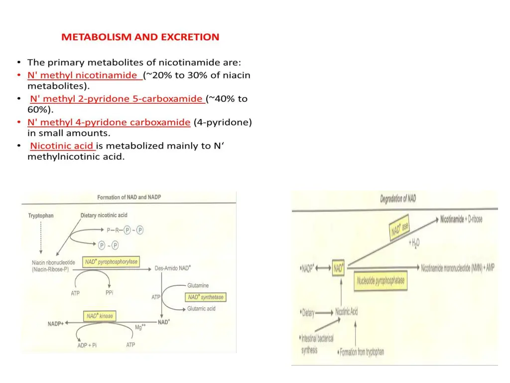 slide5