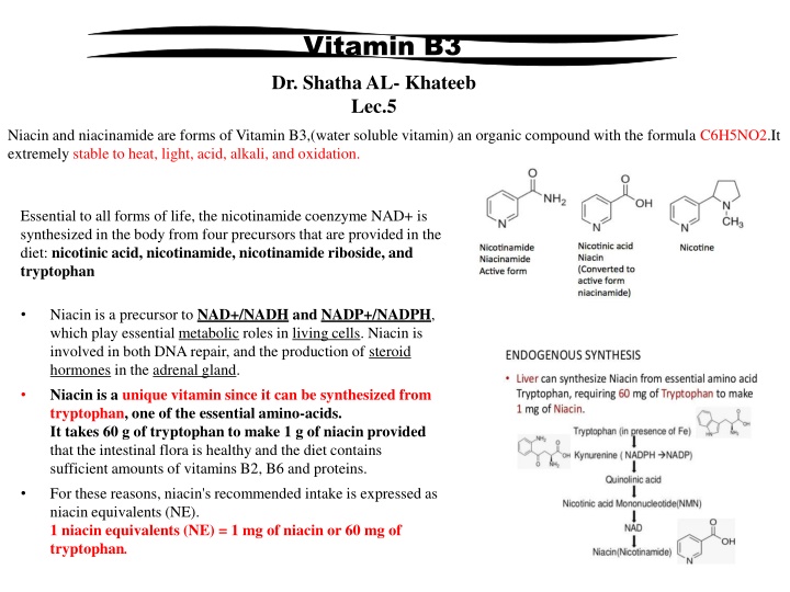 vitamin b3 dr shatha al khateeb lec 5