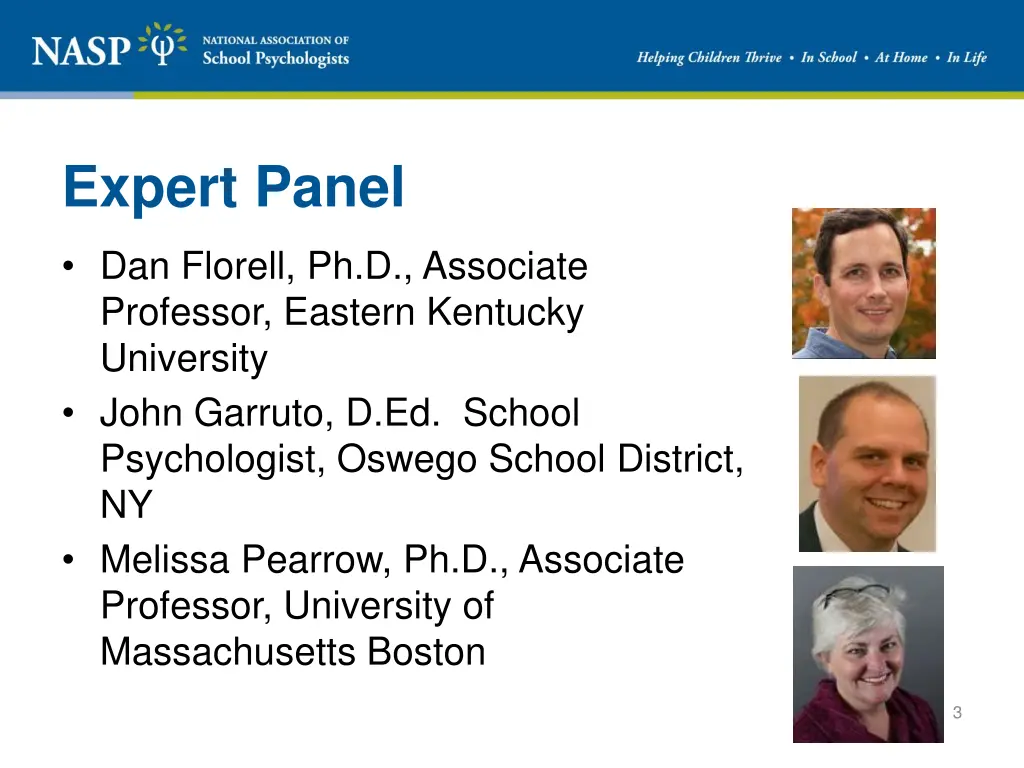 expert panel