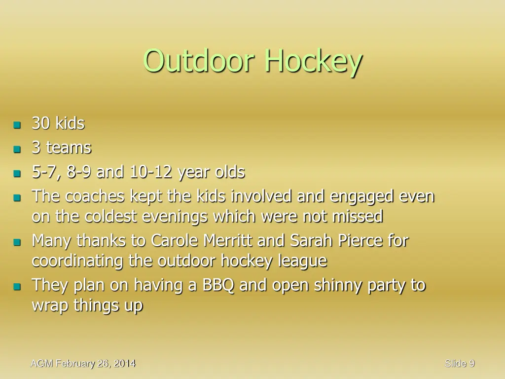 outdoor hockey