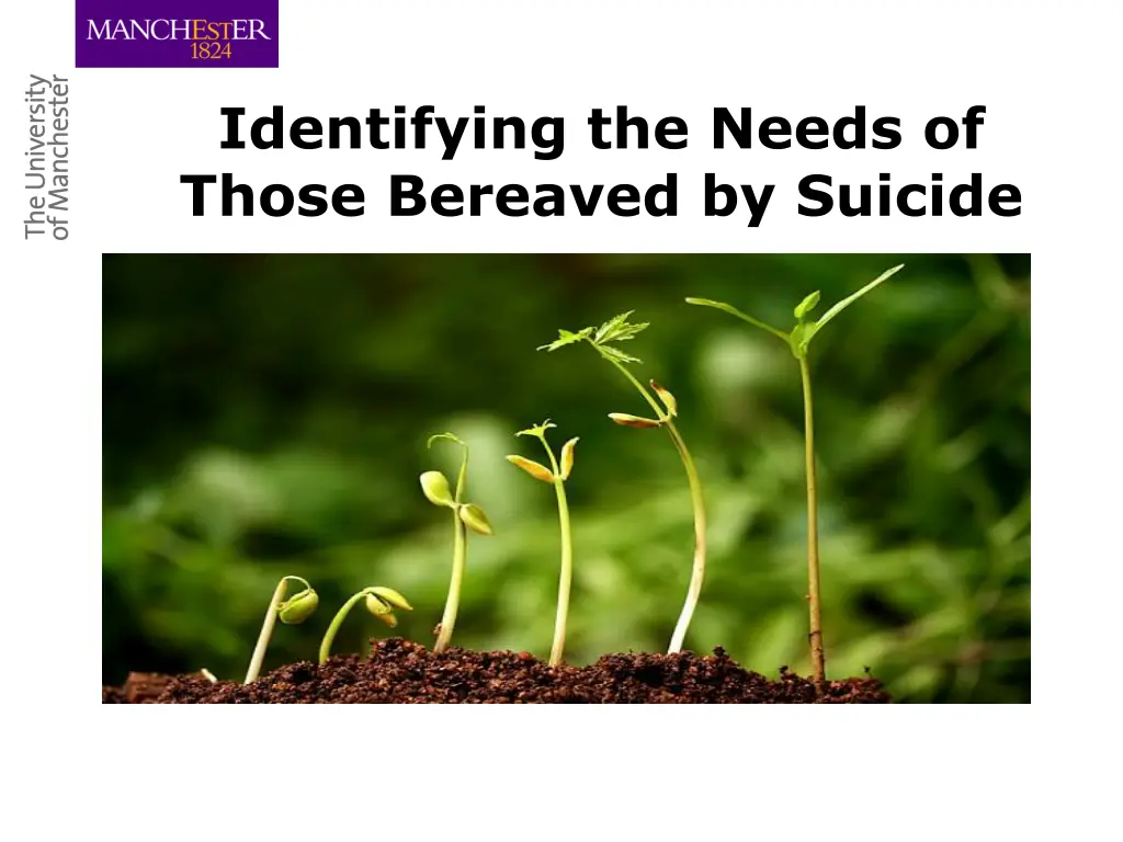identifying the needs of those bereaved by suicide
