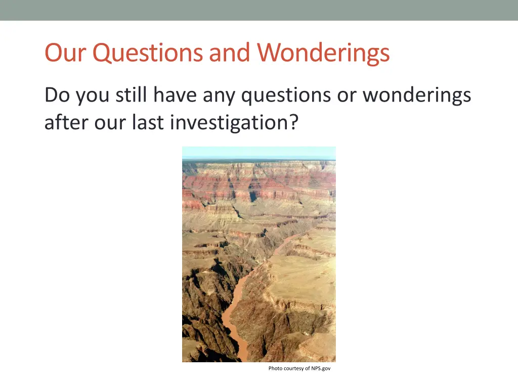 our questions and wonderings