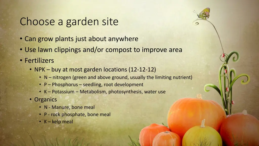 choose a garden site 1