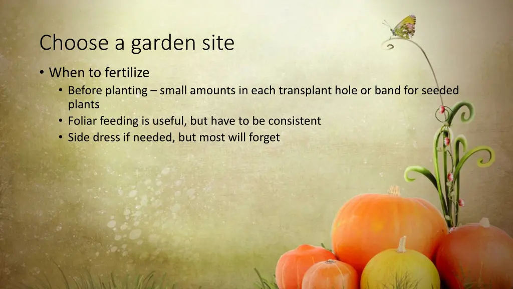 choose a garden site 2