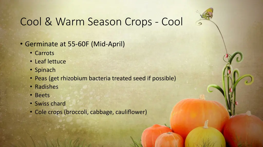 cool warm season crops cool