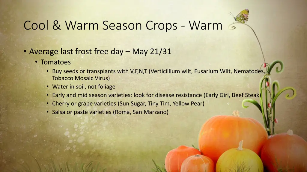cool warm season crops warm 1