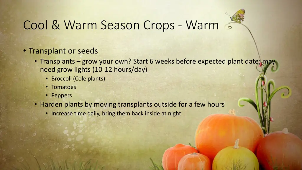 cool warm season crops warm 3