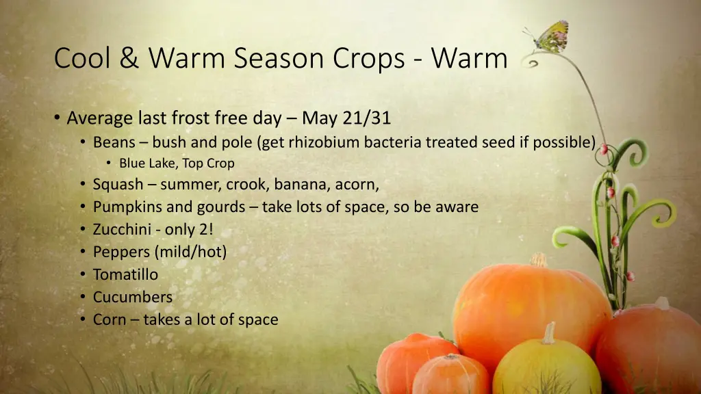cool warm season crops warm