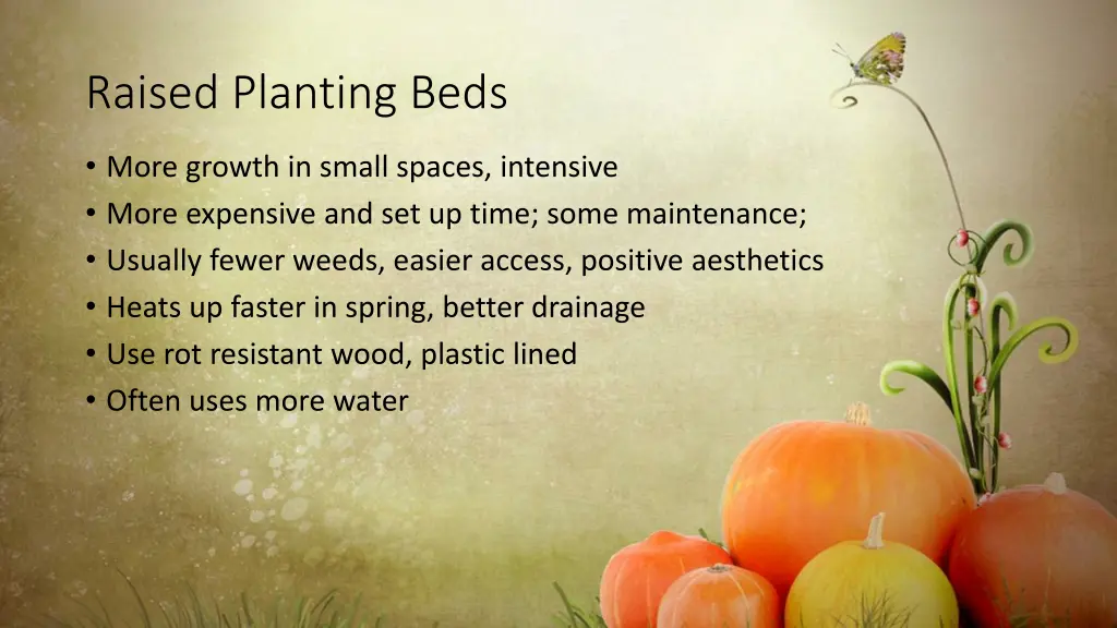 raised planting beds