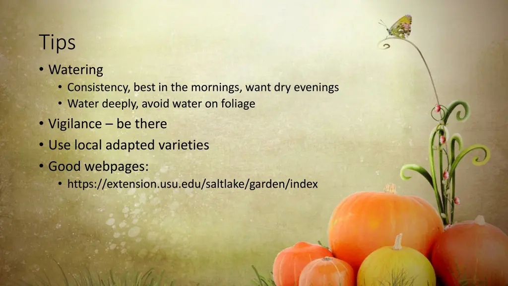 tips watering consistency best in the mornings