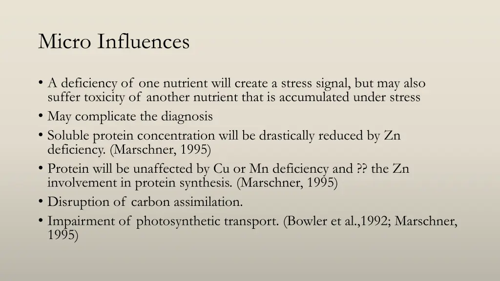 micro influences