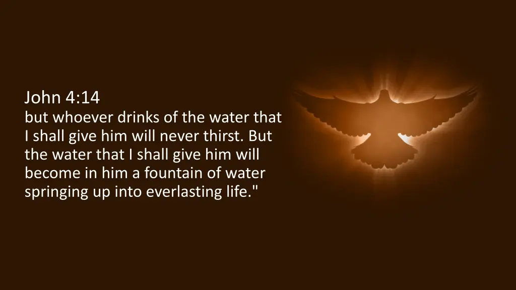 john 4 14 but whoever drinks of the water that