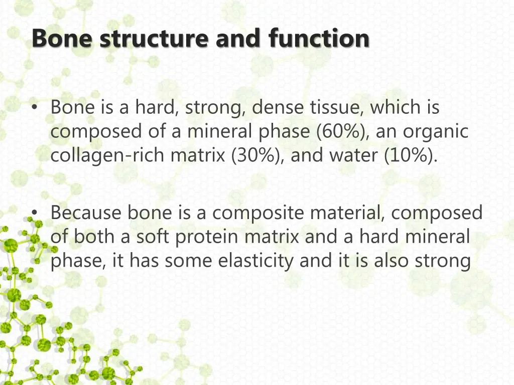 bone structure and function