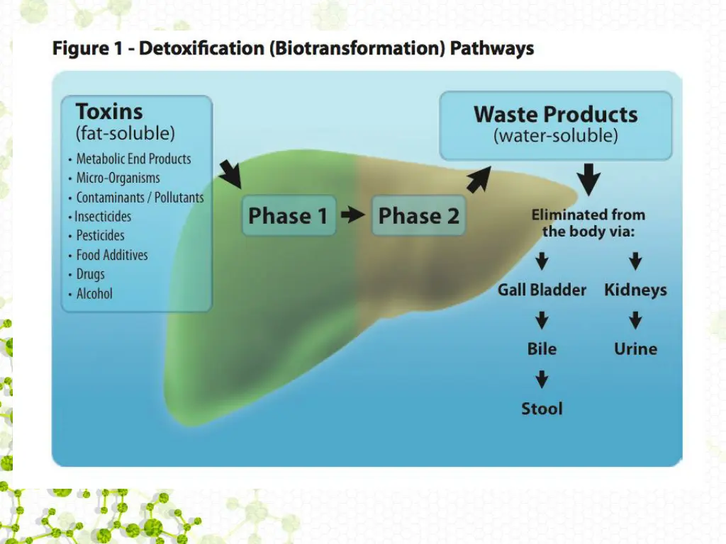 slide14
