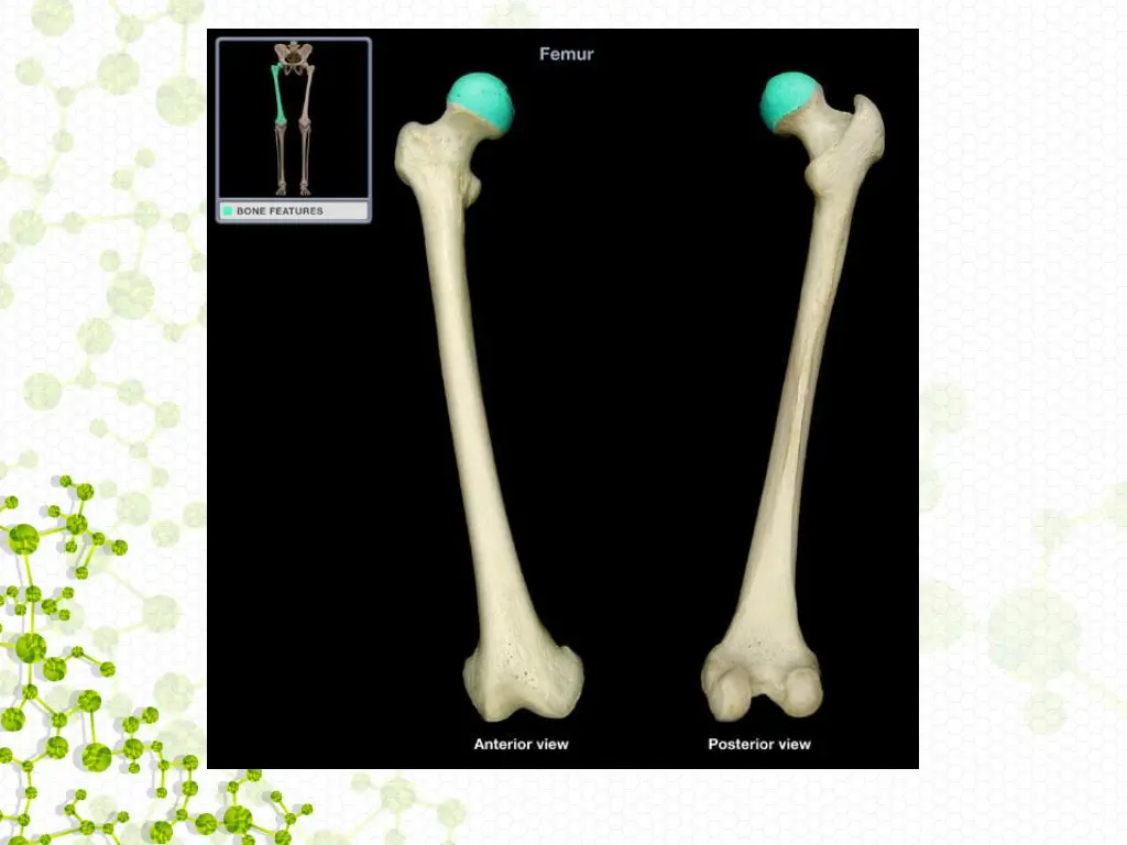 slide18