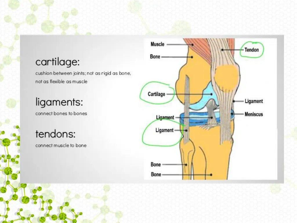 slide24
