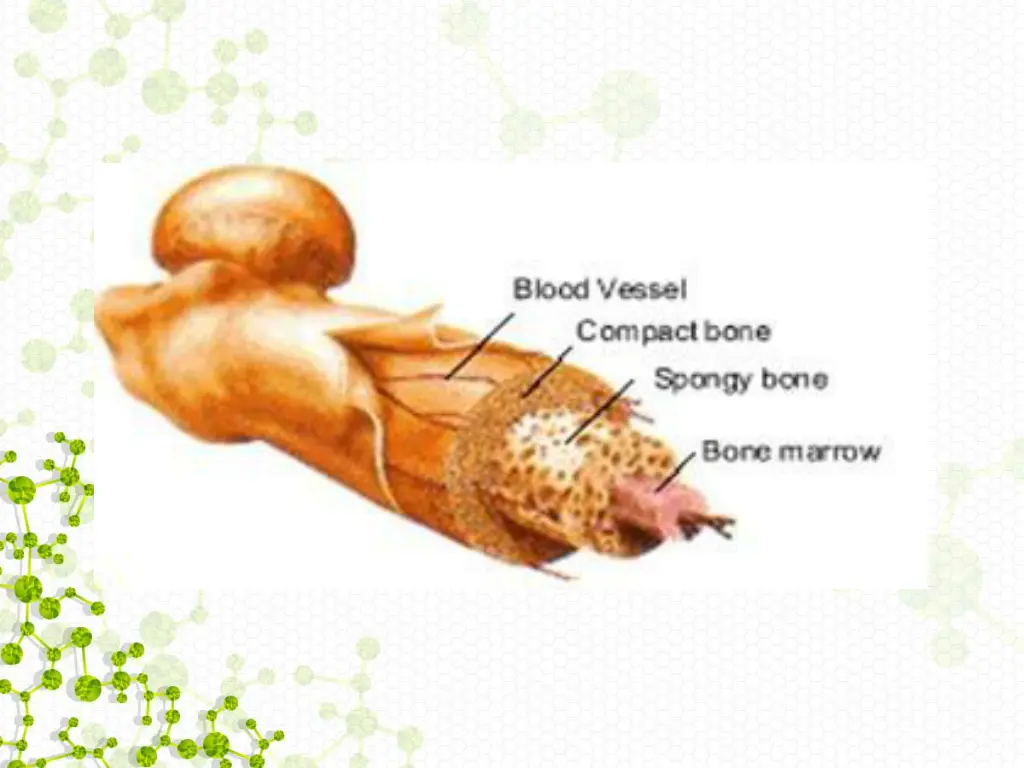 slide26