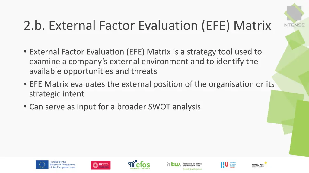 2 b external factor evaluation efe matrix