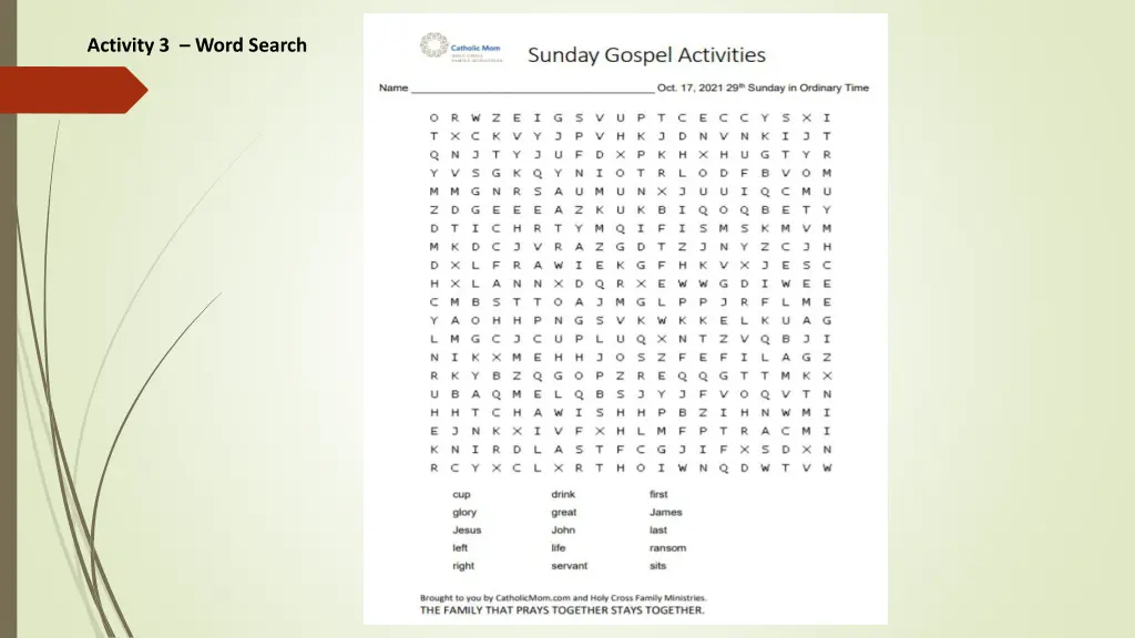 activity 3 word search
