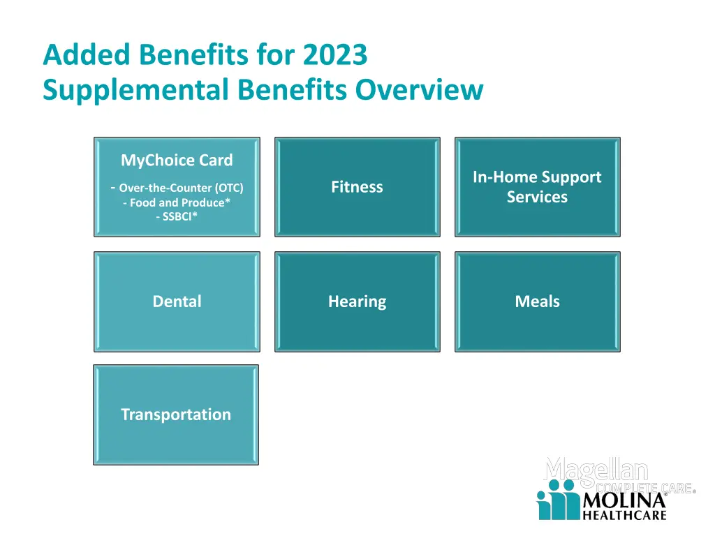 added benefits for 2023 supplemental benefits