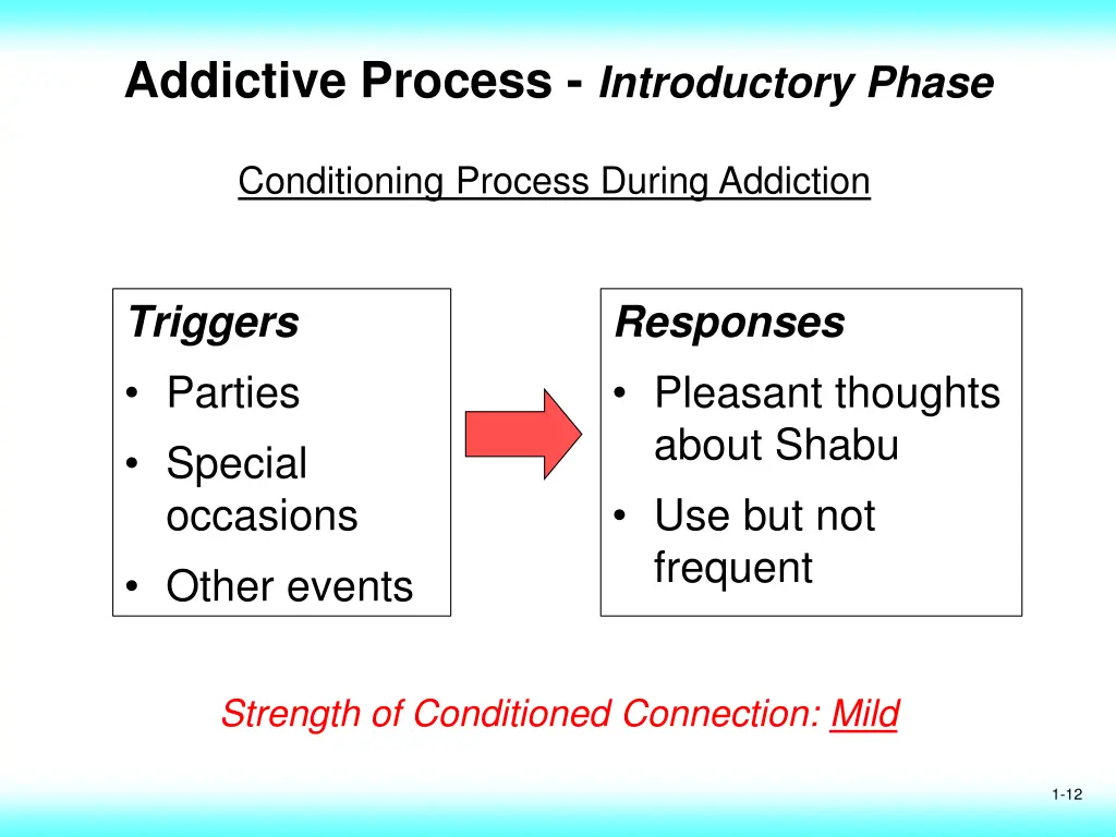 addictive process introductory phase 1