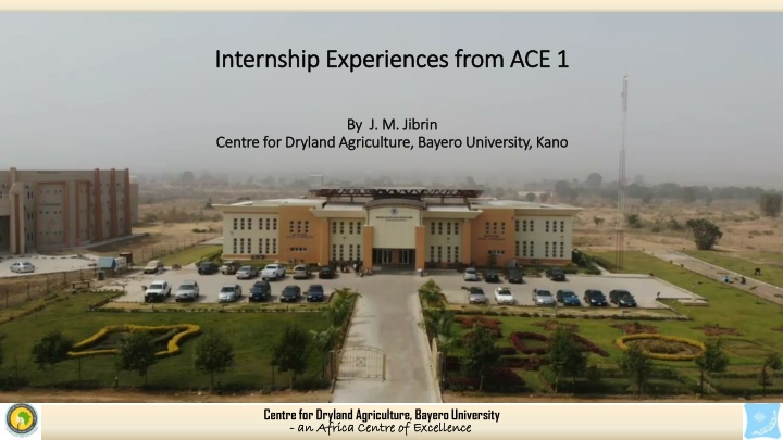 internship experiences from ace 1 internship