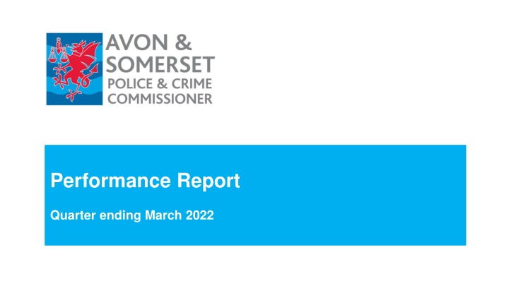 performance report