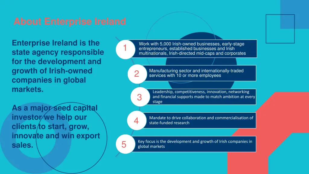 about enterprise ireland