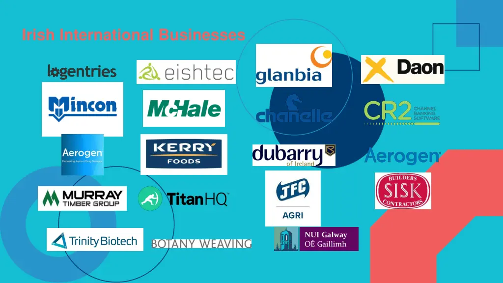irish international businesses