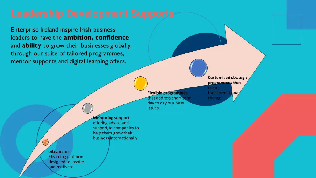 leadership development supports