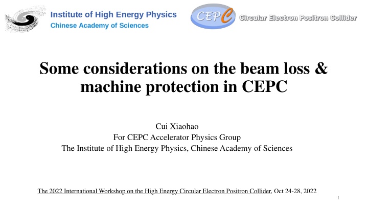 some considerations on the beam loss machine