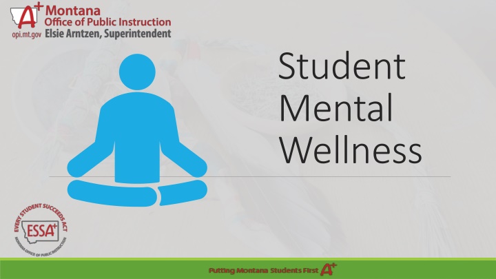 student mental wellness