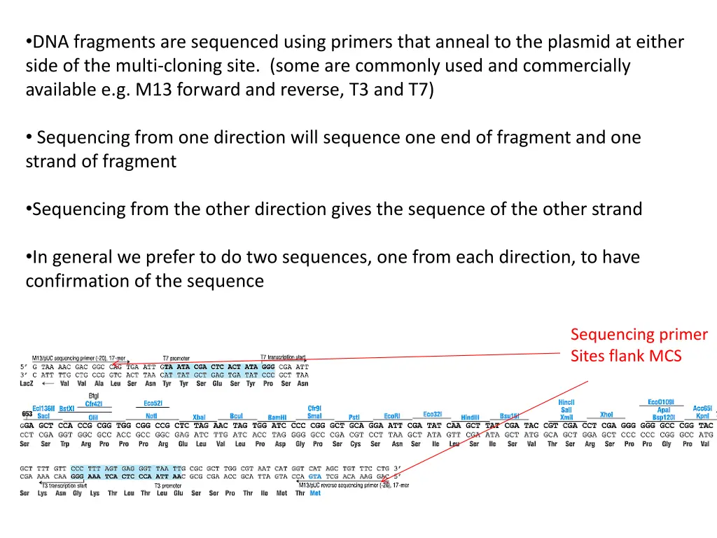 dna fragments are sequenced using primers that