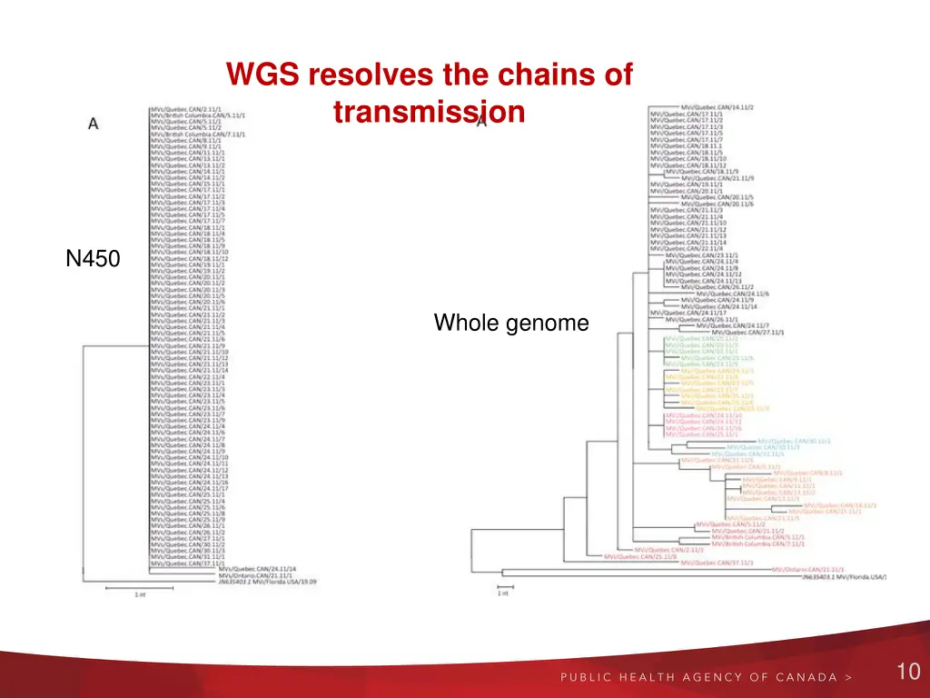 wgs resolves the chains of transmission