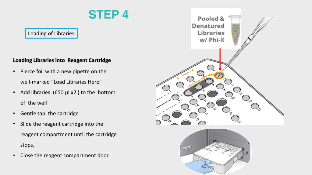step 4