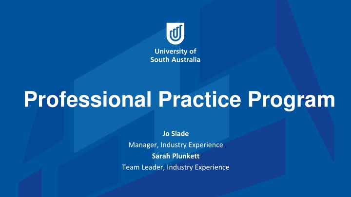 professional practice program