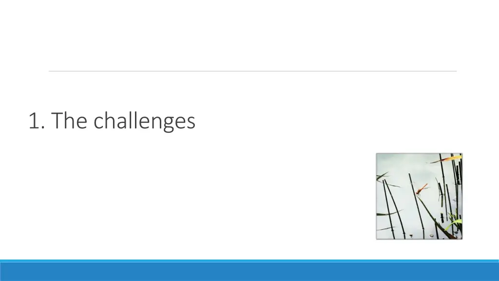 1 the challenges