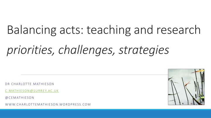 balancing acts teaching and research