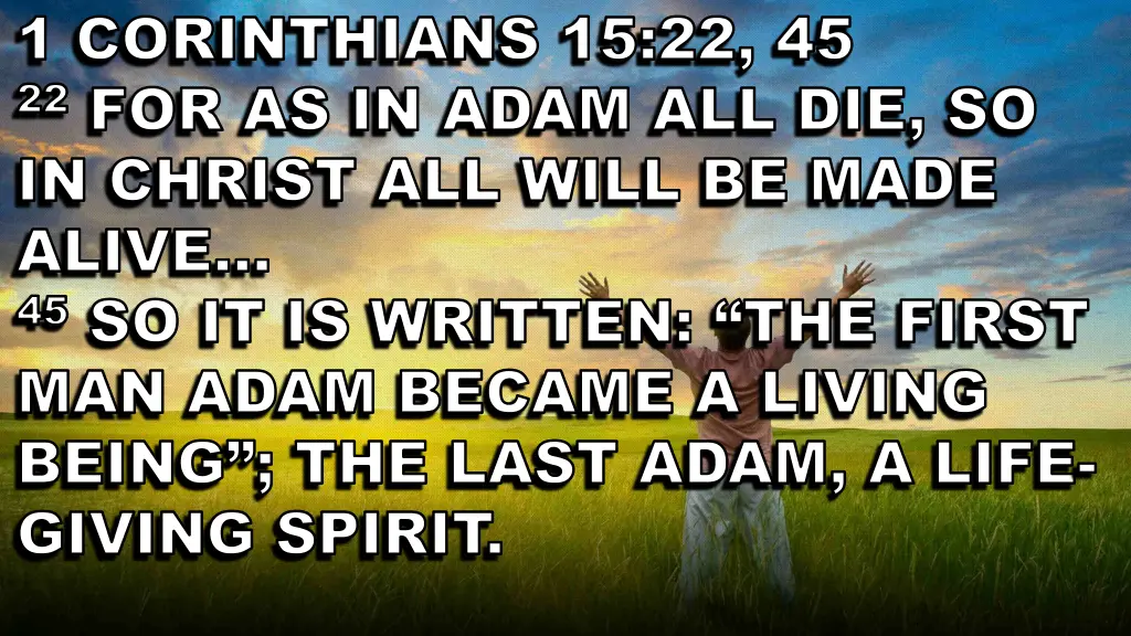 1 corinthians 15 22 45 1 corinthians