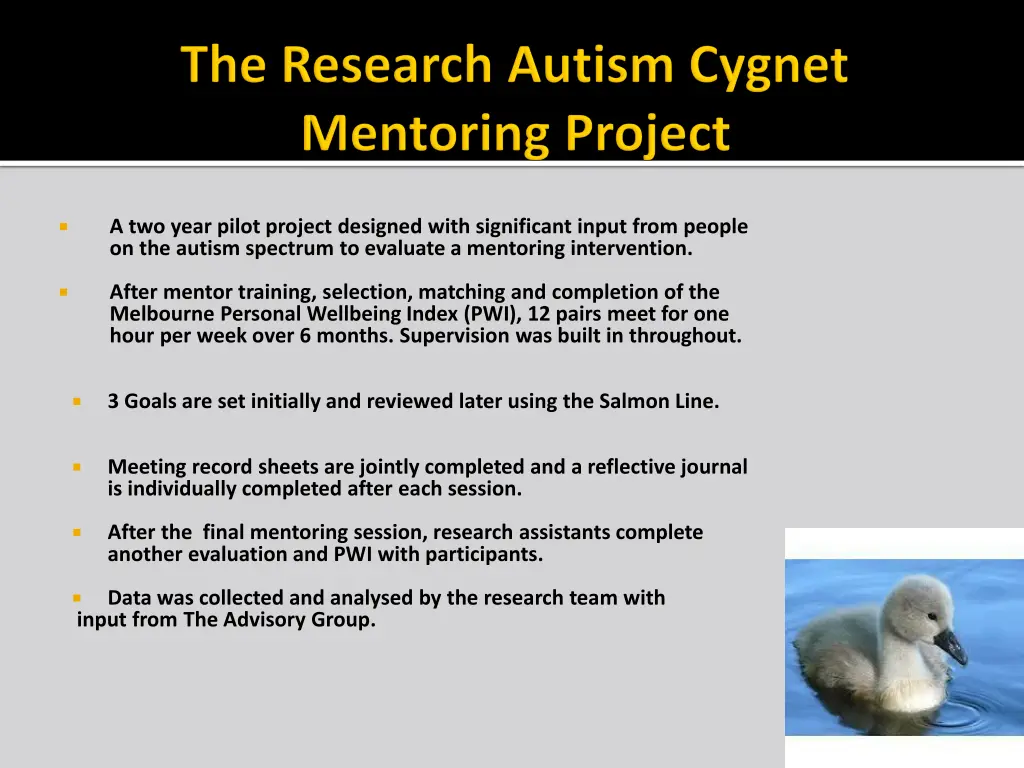 a two year pilot project designed with
