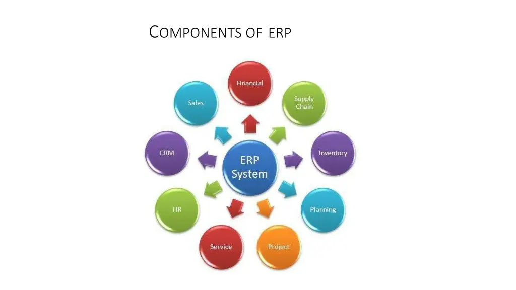 c omponents of erp