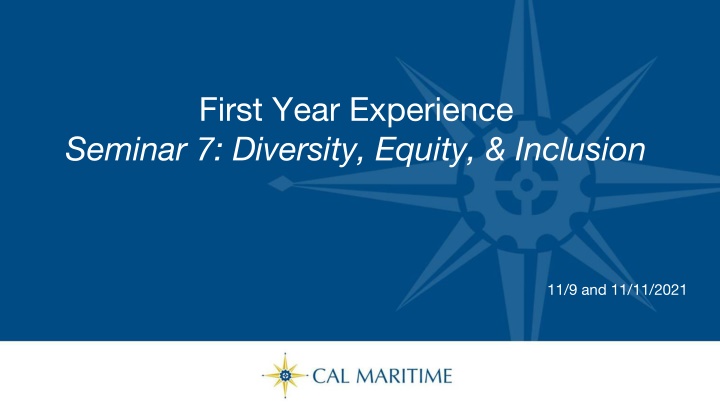 first year experience seminar 7 diversity equity